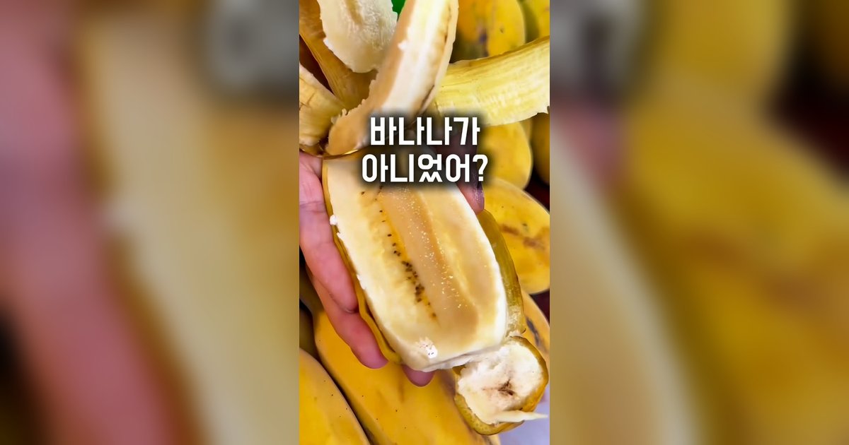 바나나 초파리 안 꼬이게 보관하는 법 — 냉장고에 넣어도 되는 바나나가 있습니다