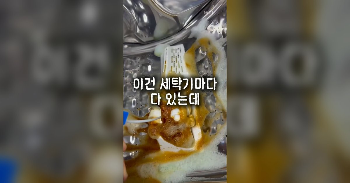 세탁기 고무패킹 곰팡이, 빨래 냄새의 진짜 범인 — 안전하게 지우는 법